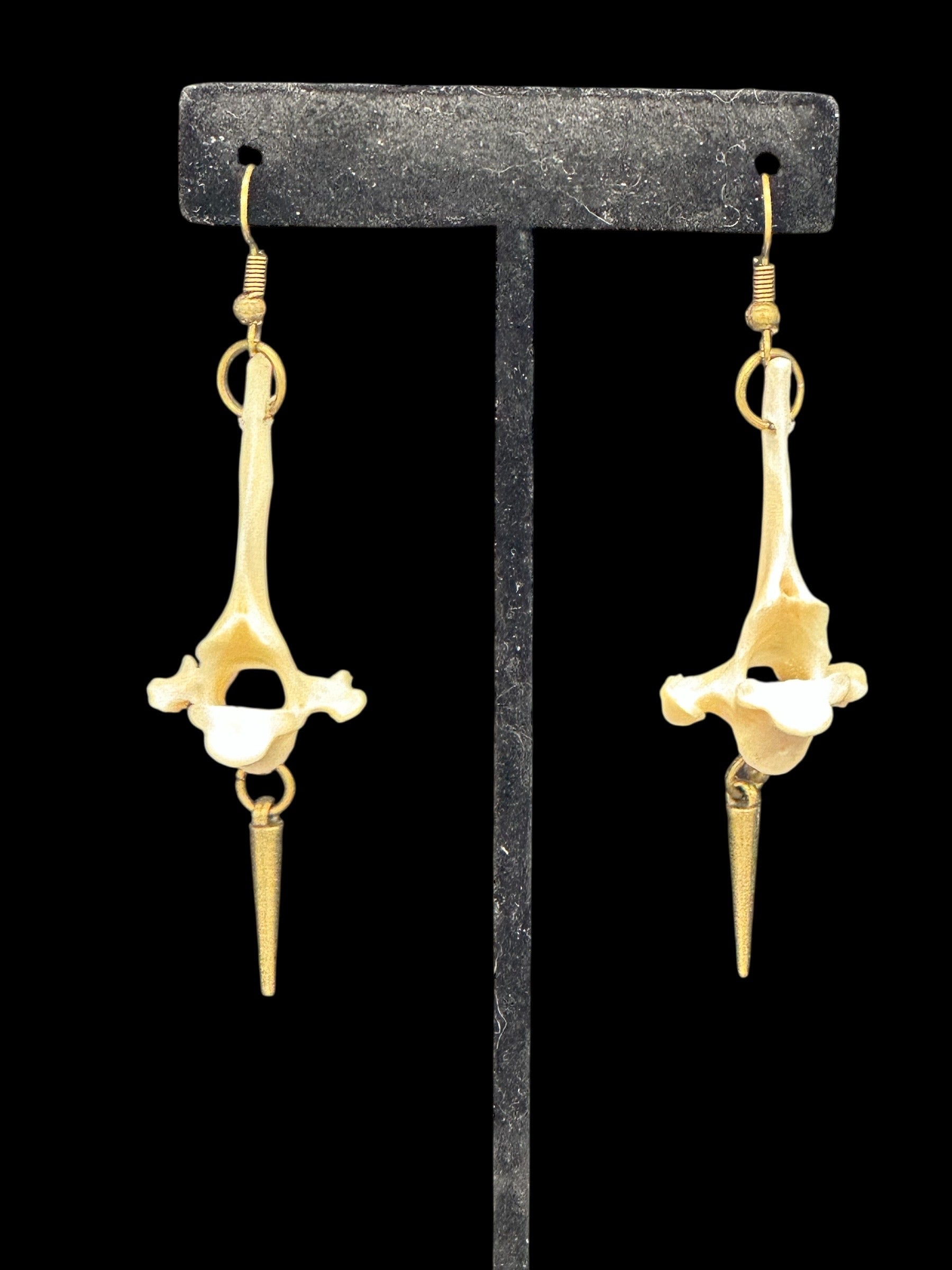 Cat Vertebrae with Bronze Spike